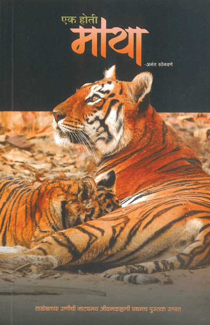 पुस्तक — Maya